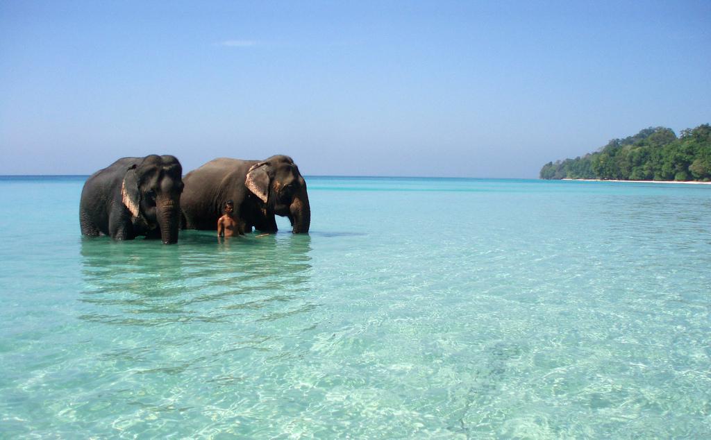 Havelock island